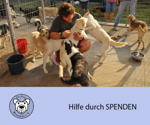 spenden Kopie