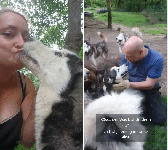 SORA findet ihr Traumzuhause im Huskyland 🏡✨