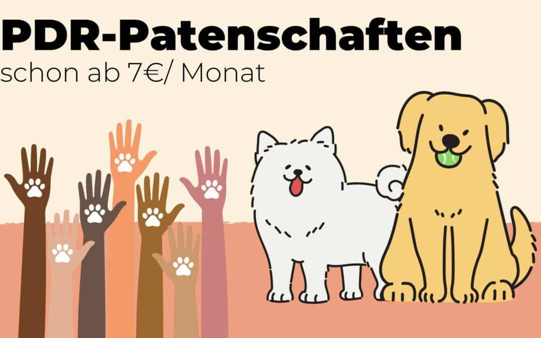 Unsere wichtigste Stütze – Patenschaften🌱