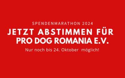 Bis 24.10. noch mit einem Klick für uns beim Spendenmarathon voten! 🙏❤️